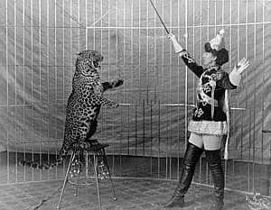 image shows a lion tamer