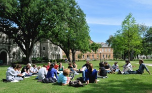 Image shows a large group of students holding a study session outdoors.